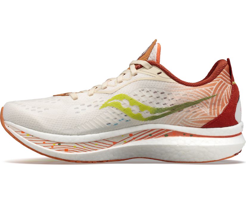 Buty do Biegania Saucony Endorphin Speed 2 Special Edition Męskie Brązowe Brązowe | Polska WP3-35113Z2