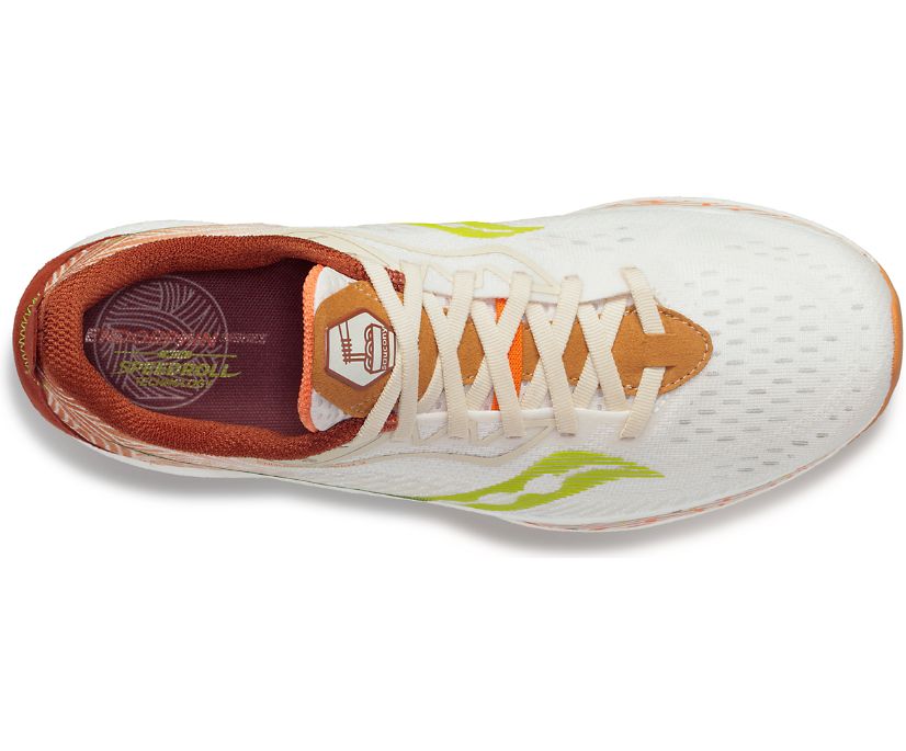 Buty do Biegania Saucony Endorphin Speed 2 Special Edition Męskie Brązowe Brązowe | Polska WP3-35113Z2