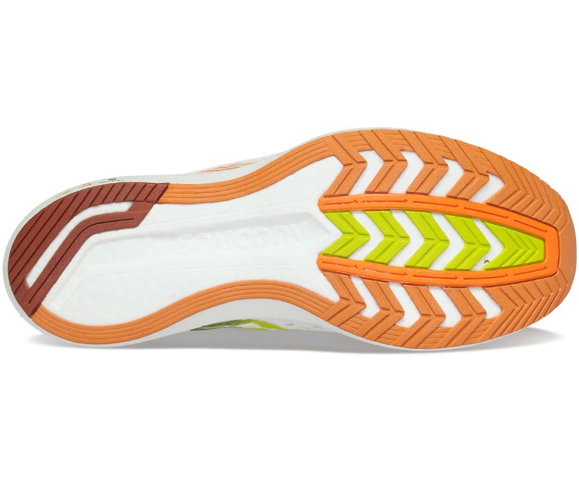 Buty do Biegania Saucony Endorphin Speed 2 Special Edition Męskie Brązowe Brązowe | Polska WP3-35113Z2