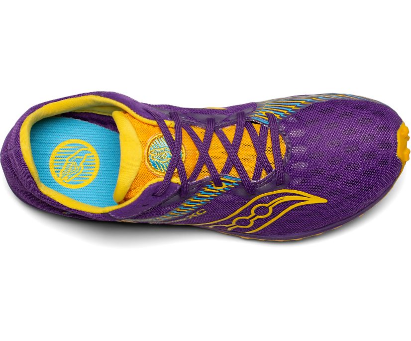 Buty do Biegania Saucony Kilkenny XC9 Flat Damskie Fioletowe Żółte | Polska ZD7-41884D7