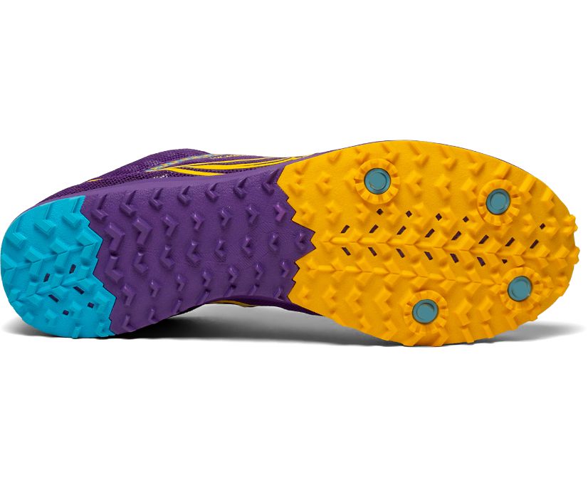 Buty do Biegania Saucony Kilkenny XC9 Flat Damskie Fioletowe Żółte | Polska ZD7-41884D7
