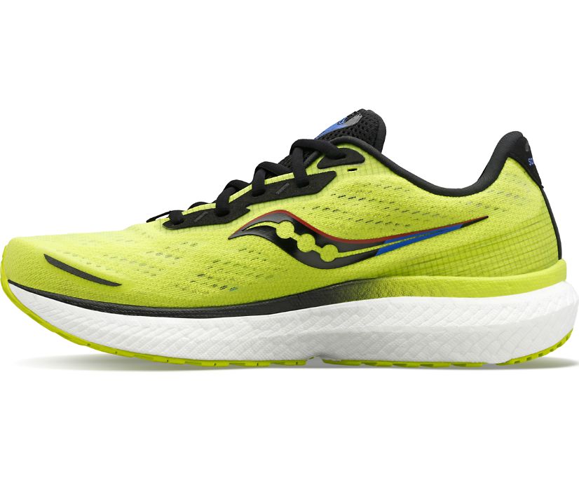 Buty do Chodzenia Saucony Triumph 19 Męskie Żółte Niebieskie Czarne | Polska UZ2-48954D1